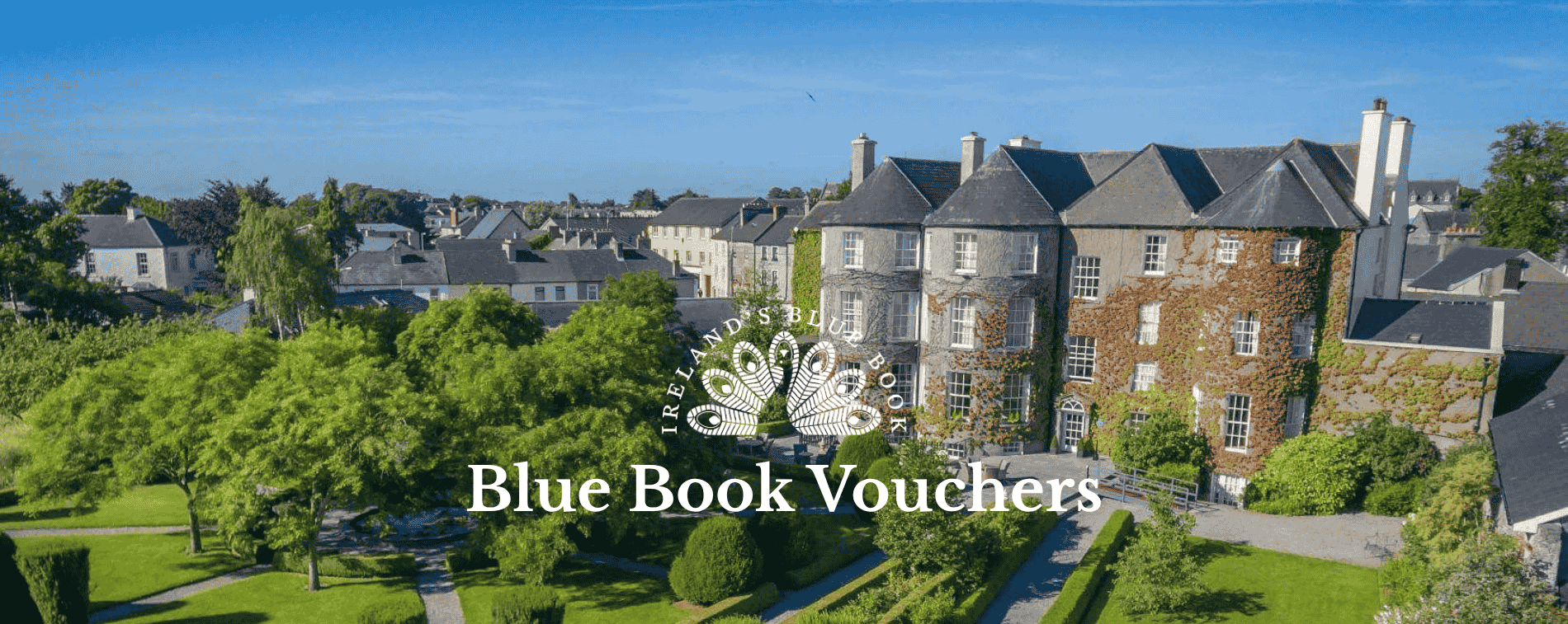 Blue book vouchers banner page www.butler.ie_v2