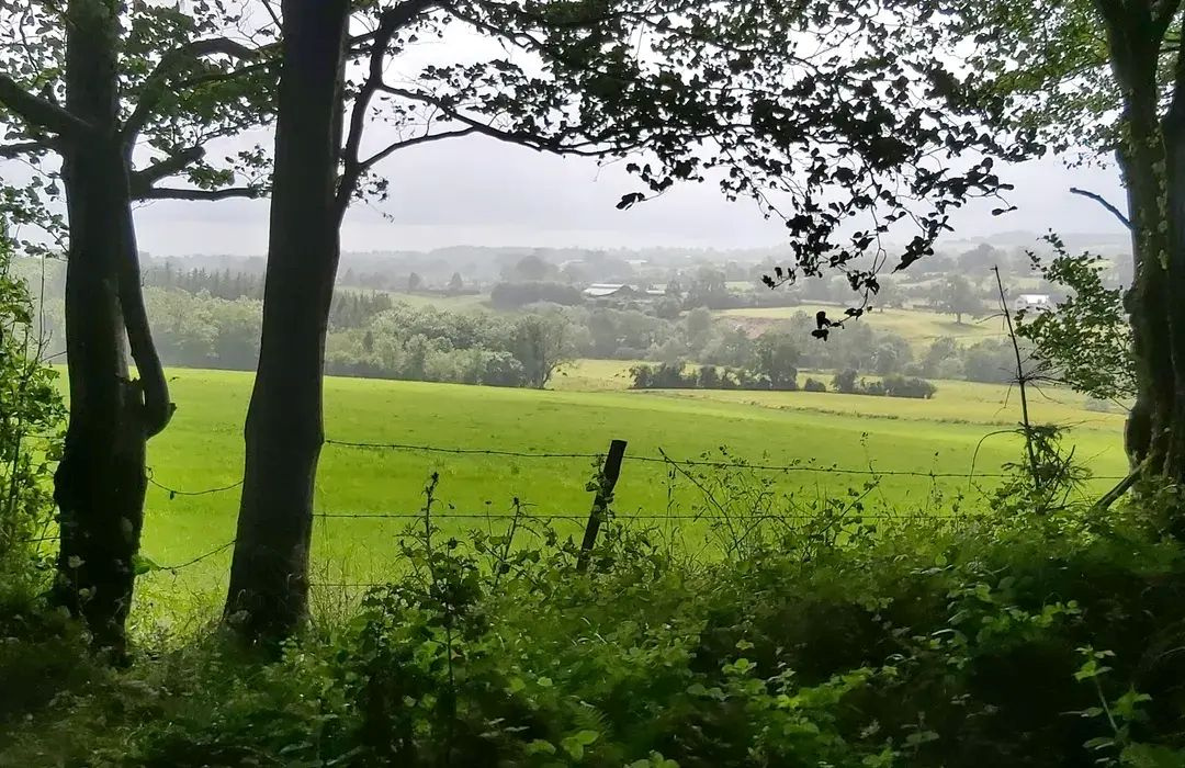 castlecommer loop