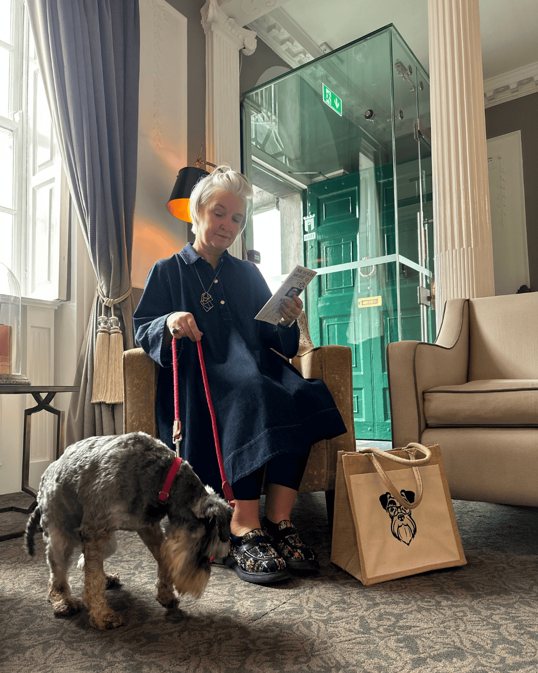 dog friendly room bh
