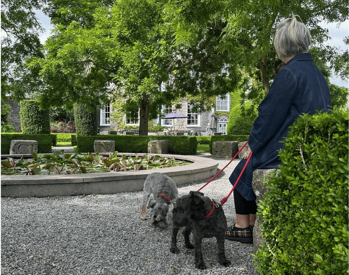 dog in bh garden