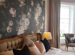 Last minute availability! We have one room left Sunday 19th to Thursday 23rd July with special discounted rate. Book now before it's gone!